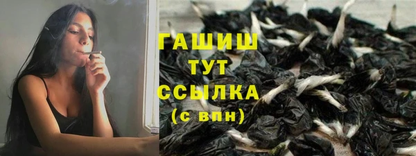 сатива Пересвет