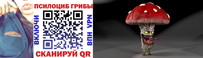 shop телеграм  Гремячинск  Галлюциногенные грибы мухоморы 